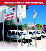 Hayvan Hastanesi